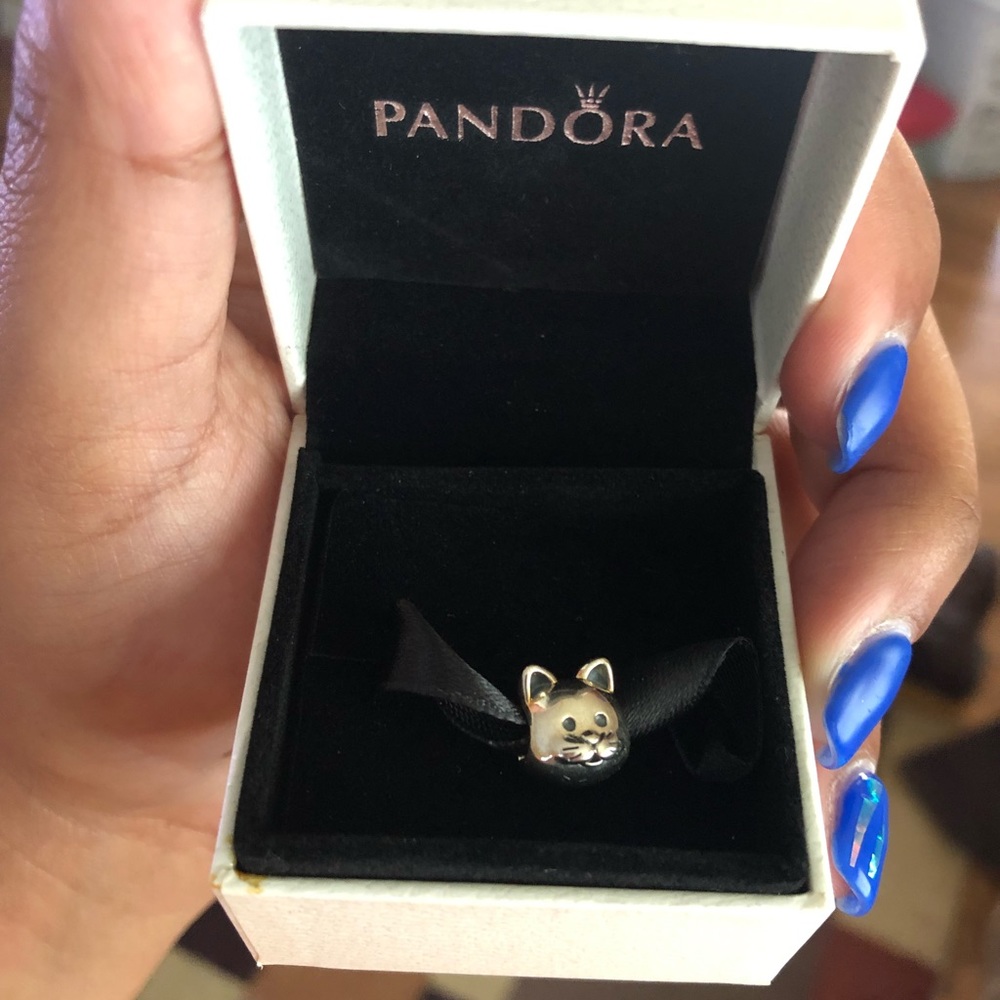 BRAND NEW PANDORA CHARM 🐱